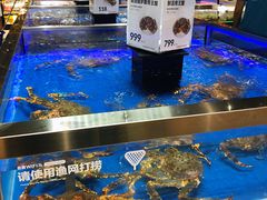 水产区-盒马鲜生(龙德广场店)