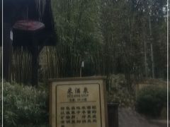 -崇阳三特浪口温泉