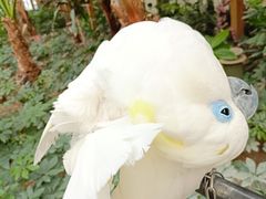 -南宫五洲植物乐园