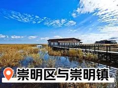 -东平国家森林公园