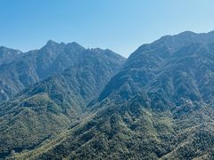 -九华山风景区-东崖禅寺