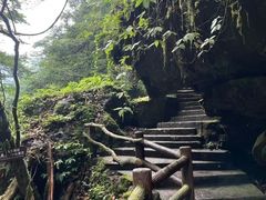 -西岭雪山大飞水景区