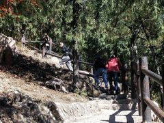 -北京十三陵国家森林公园蟒山景区
