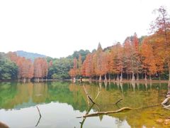 -广州市白云山风景名胜区