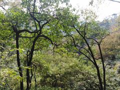 -黔灵山公园-南门售票处