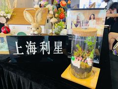 -奔驰上海利星(七宝店)