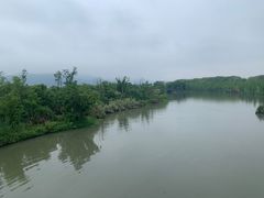 -三垟湿地