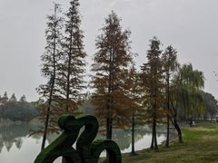 -贡湖湾湿地公园