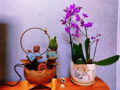 -爱尚养生SPA(银城绿洲店)