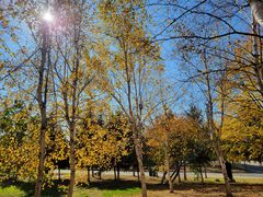 -长春世界雕塑园冰雪艺术天地