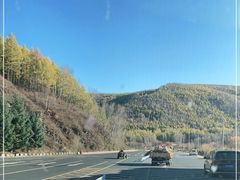 -塞罕坝国家级自然保护区