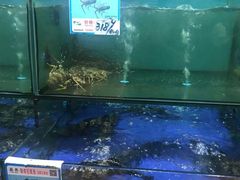 -南海渔家•海鲜•正宗海南菜(海棠湾店)