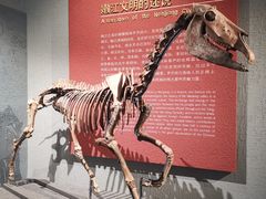 -齐齐哈尔市博物馆