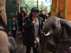 -济州岛泰迪熊博物馆