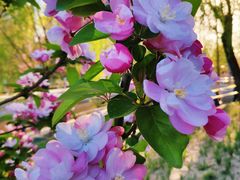 -元大都城垣遗址公园