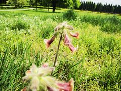 -汉景帝阳陵博物院