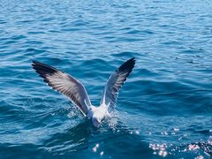 -丽江泸沽湖景区