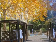 -春晖园度假酒店温泉