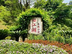 -广州白江湖森林公园