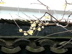 -上海方塔园