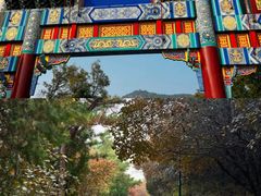 -府君山公园