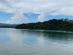 -广州市流溪河国家森林公园