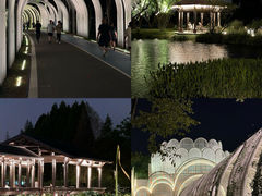 -渤公岛生态公园