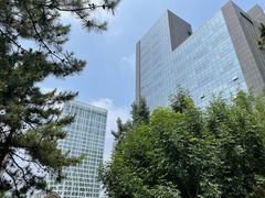 -团结湖公园