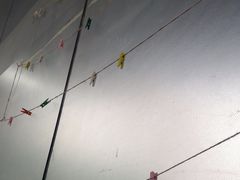 -中农国际动物医院24小时·猫科·骨科·急重症中心