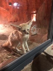 -酷嗒动物文化乐园(cutezoo西溪乐天城店)