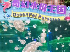 -海合安武汉极地海洋公园