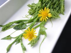 -老房子金沙元年川菜食府·草坪婚礼(毗河店)