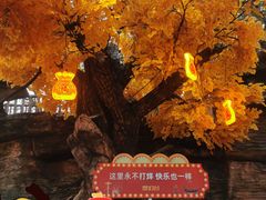 -横店影视城梦幻谷园区