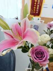 -靓芙泉祛痘.科技美肤连锁