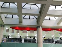 -北京大学肿瘤医院