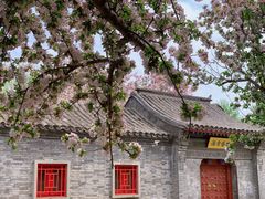 -元大都城垣遗址公园