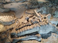 -自贡恐龙博物馆