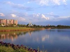 -丁香湖公园