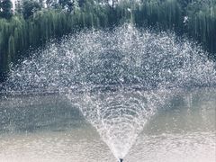 -温江公园
