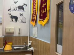-瑞派名望24h动物医院异宠专科·猫专科·骨科·重症监护分院