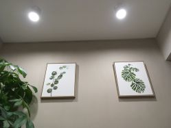 -丽雅朵云皮肤管理中心