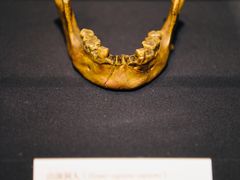 -北京周口店北京人遗址博物馆