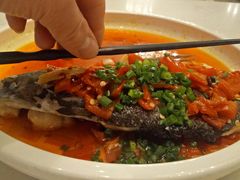 -新白鹿餐厅(城西银泰城店)