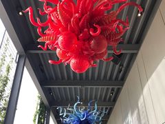 -奇胡利玻璃艺术园