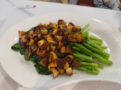 -金熊猫川菜餐厅