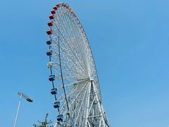 -大阪海游馆