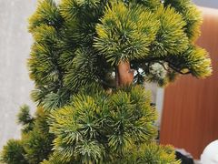 -德克士(南天门店)