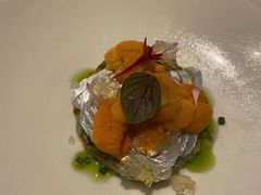 -蝶舍·MAISON PAPILLON