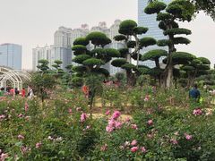 -南宁南湖公园