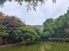 -月亮湾公园